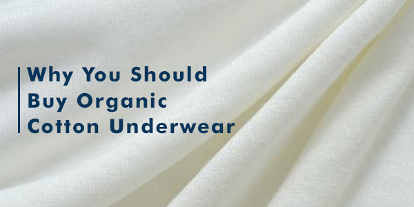 Reasons to Buy Organic Cotton Underwear– Almo Wear
