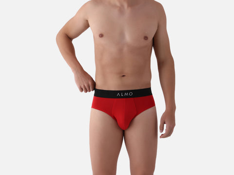 Second Skin Micromodal Brief (Pack of 2)