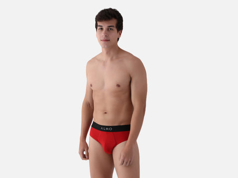 Second Skin Micromodal Brief (Pack of 2)