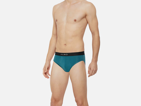 Second Skin Micromodal Brief