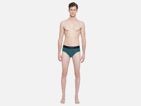 Second Skin Micromodal Brief